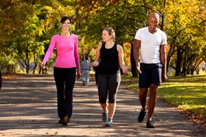 Group of adults walking